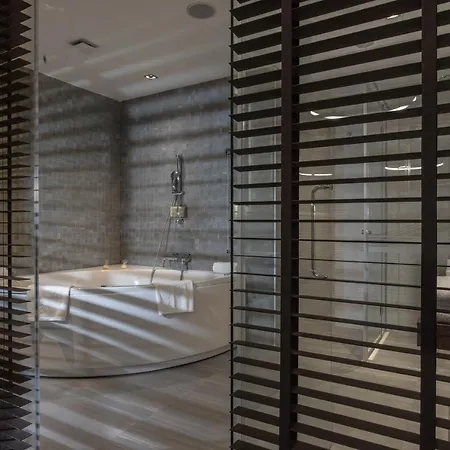 فندق روسلين ديميات 4*