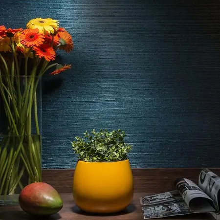 روسلين ديميات 4*