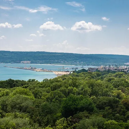 Rosslyn Dimyat 4* Warna