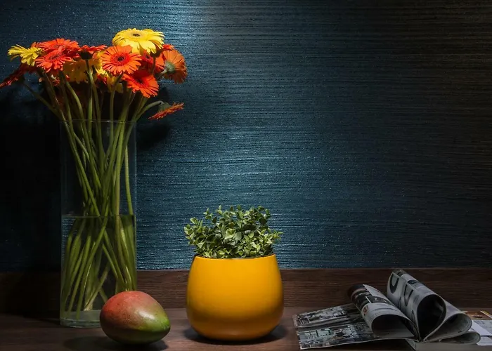 瓦尔纳罗斯林迪米亚特酒店 4*